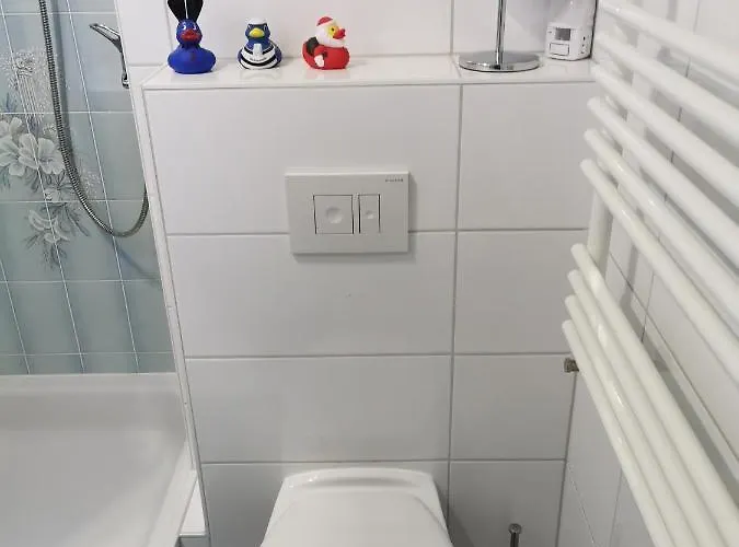 Fewo-harz-uraub 公寓 *