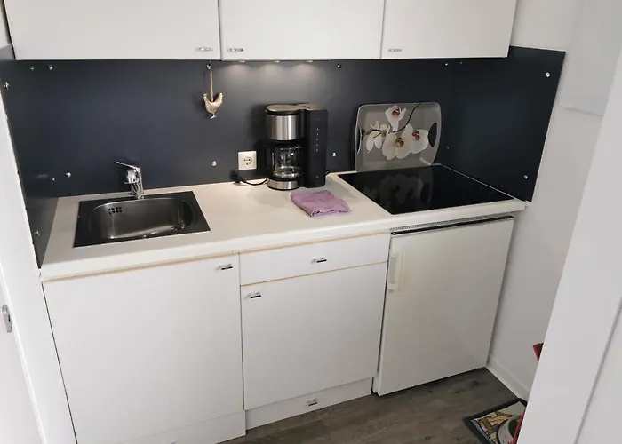 公寓 Fewo-harz-uraub 阿尔特瑙